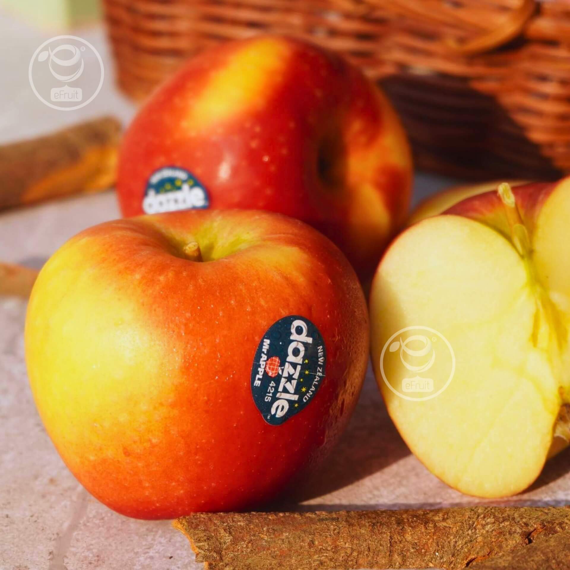 597768012_1273186701519776_4599385454770354248_n