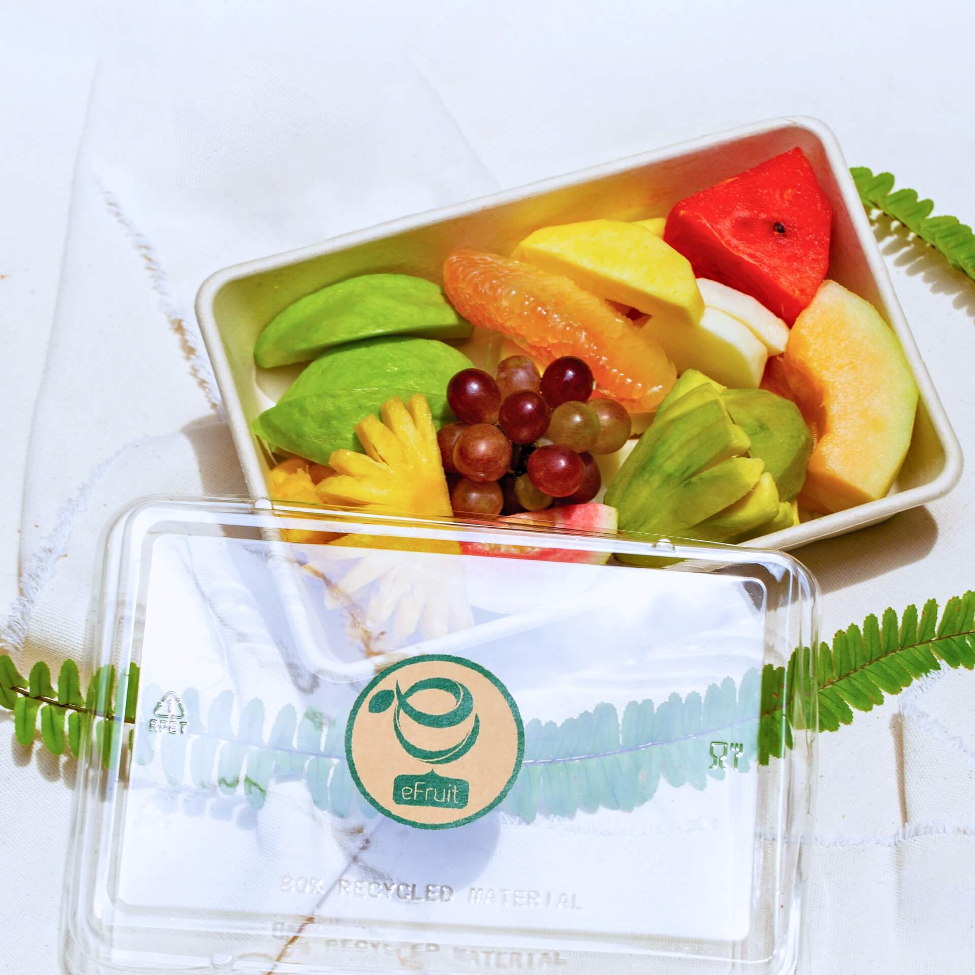 599560754_1271053865066393_1087389899212019811_n