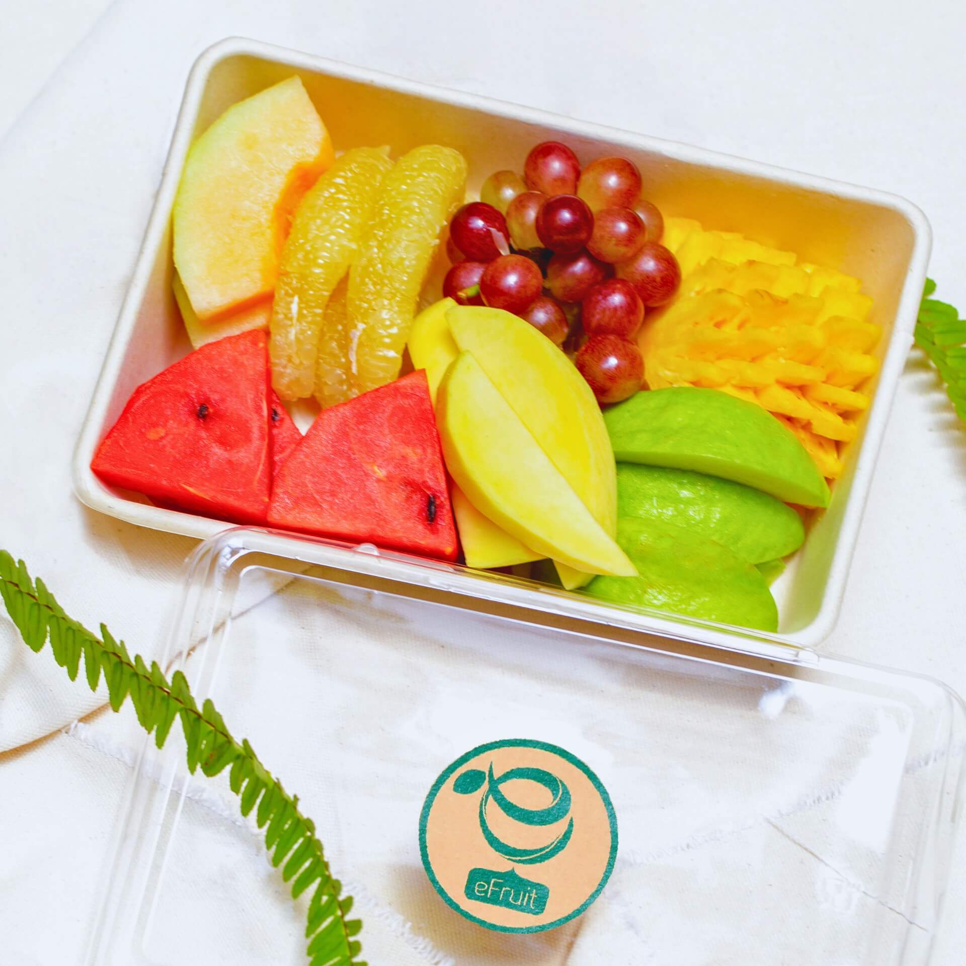 599934963_1271053841733062_6913997456441047638_n