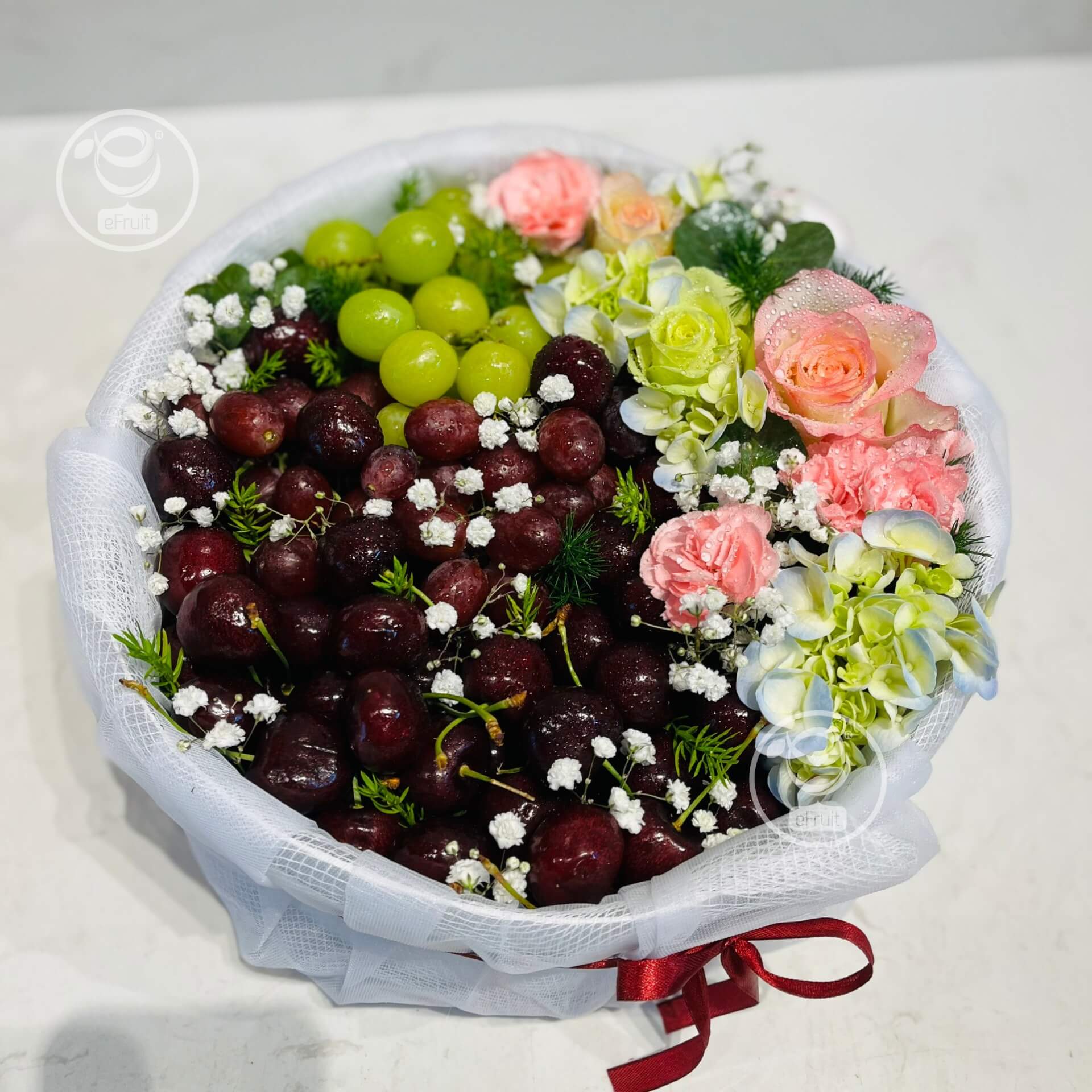 624095015_1310408287797617_4837036733602609042_n